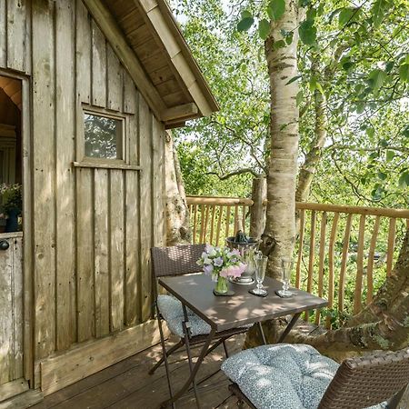 The Treehouse At Salcombe Farm Villa Exteriör bild