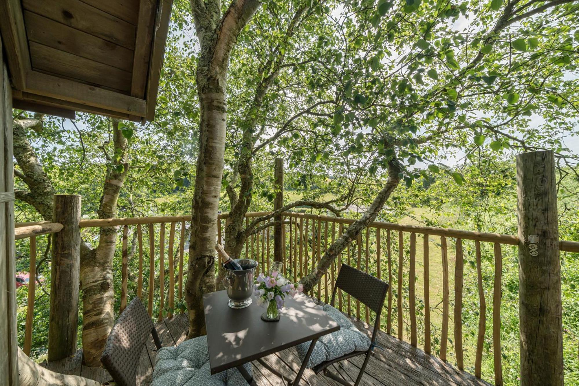 The Treehouse At Salcombe Farm Villa Exteriör bild