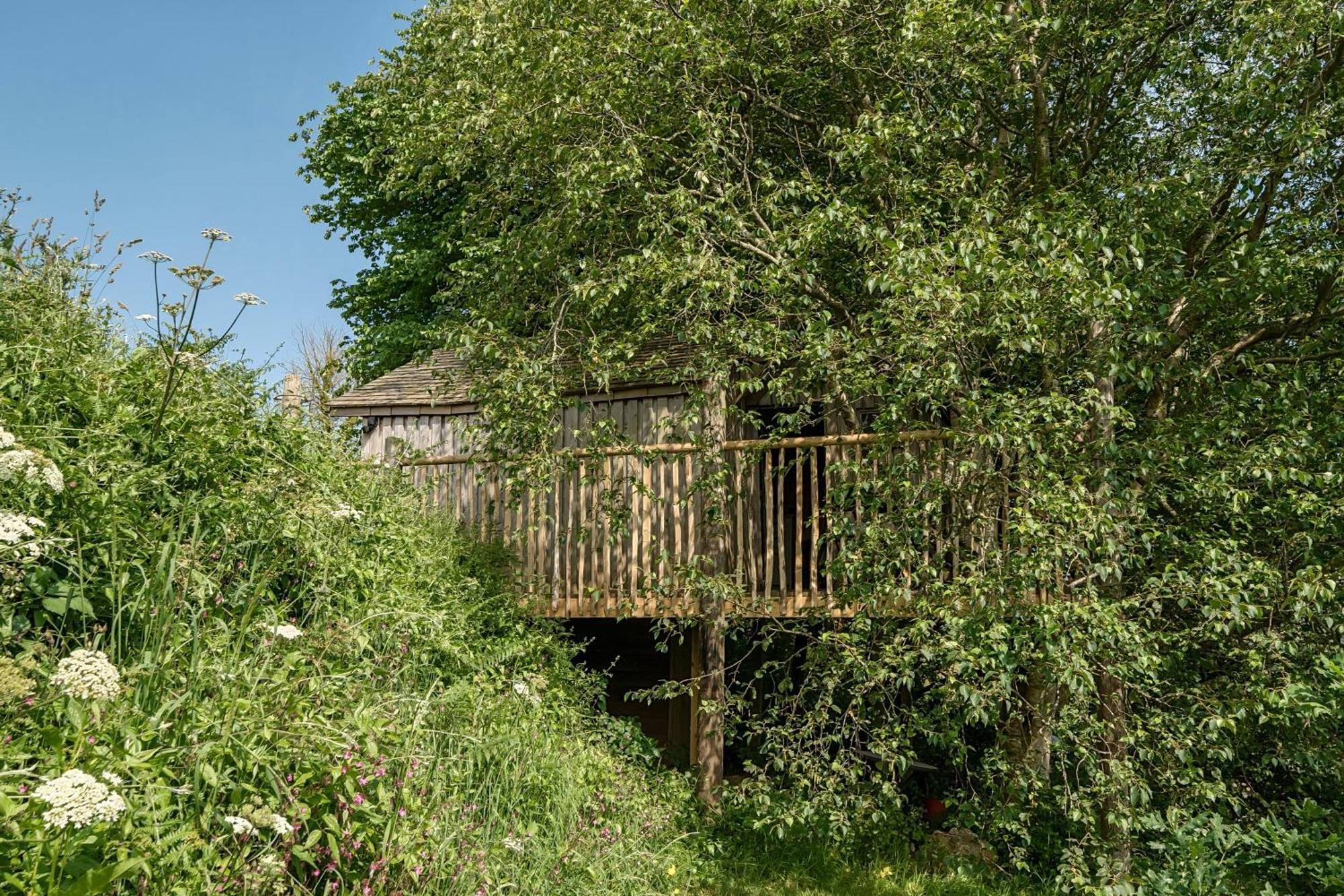 The Treehouse At Salcombe Farm Villa Exteriör bild