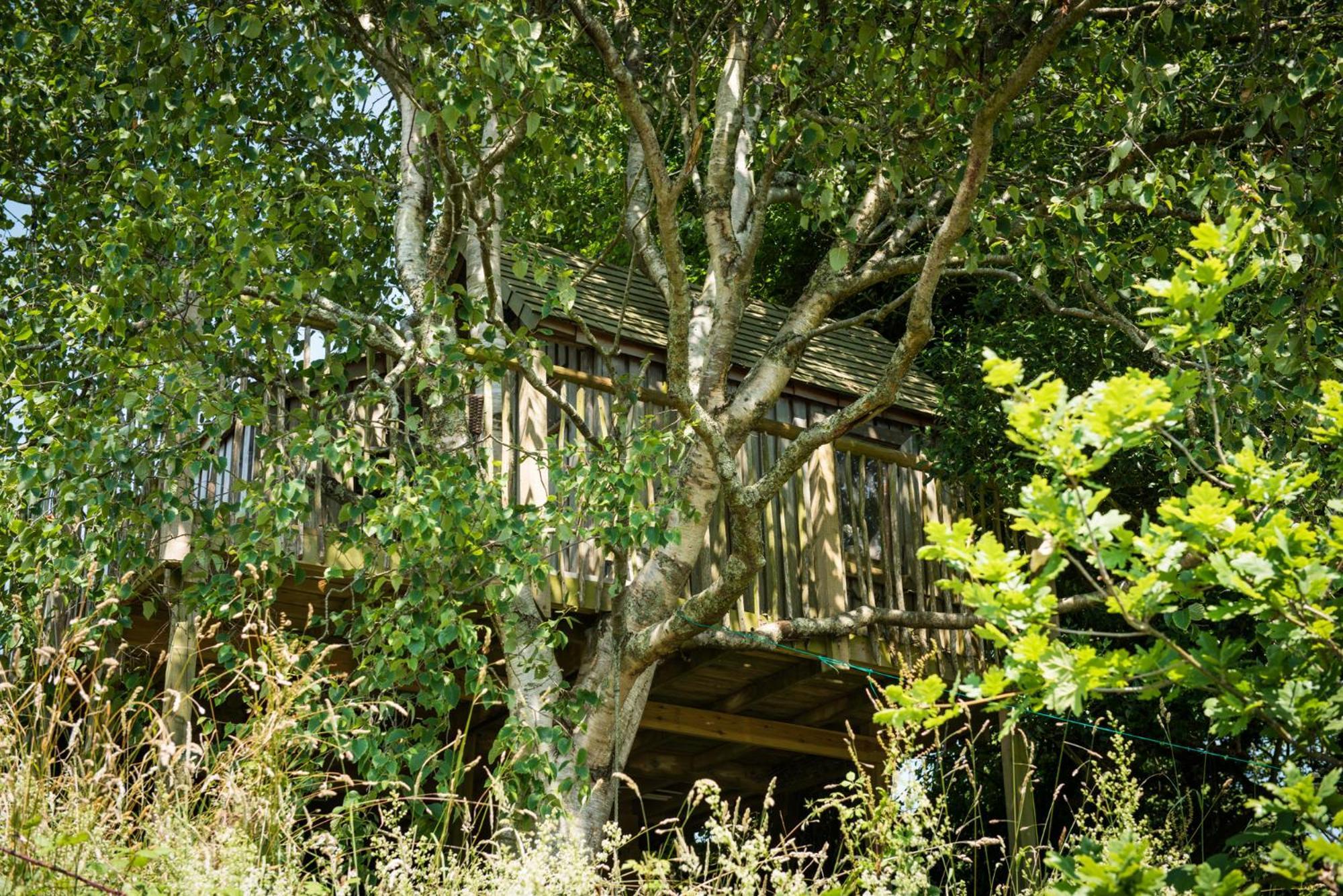 The Treehouse At Salcombe Farm Villa Exteriör bild